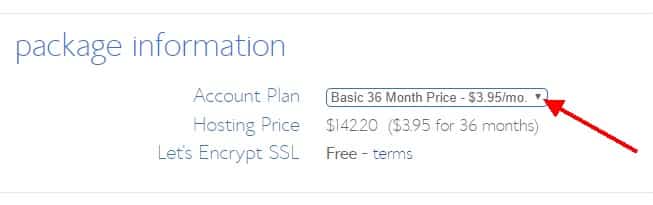 Bluehost Account Plan