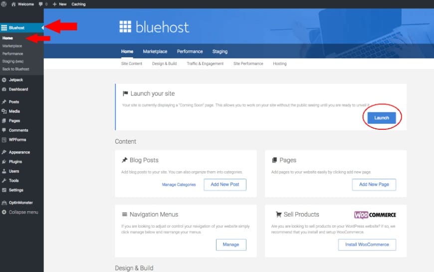 Bluehost Launch Your Site